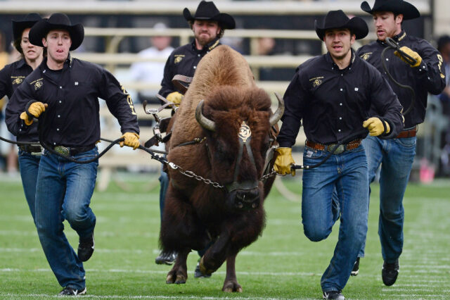 Colorado Buffaloes football