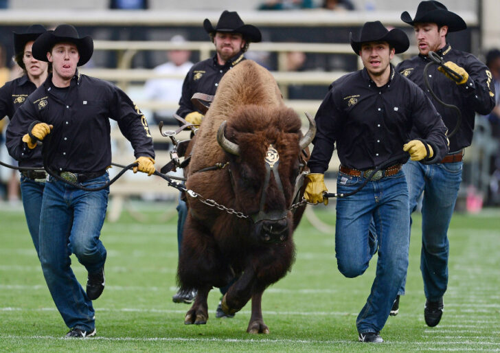 Colorado Buffaloes football