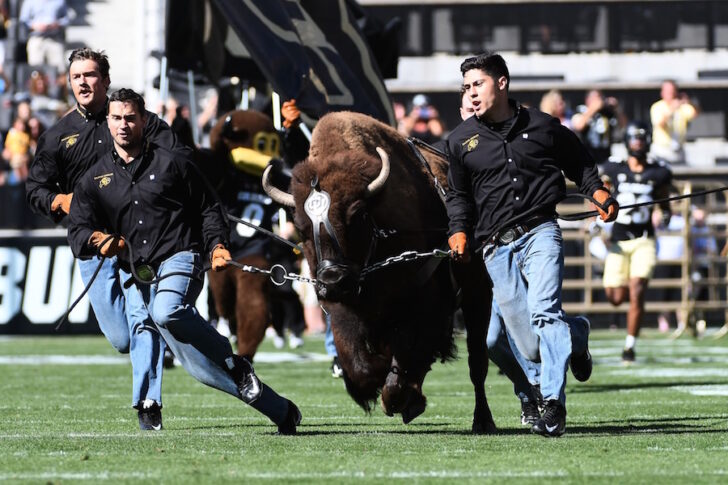 Colorado Buffaloes