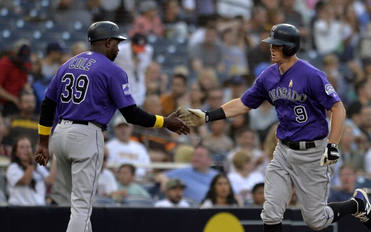 DJ LeMahieu after his huge home run. Credit: Jake Roth, USA Today Sports.