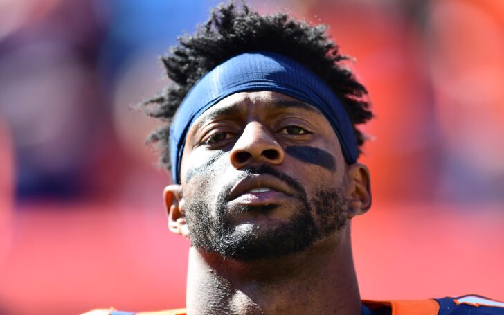 Emmanuel Sanders. Credit: Ron Chenoy, USA TODAY Sports.