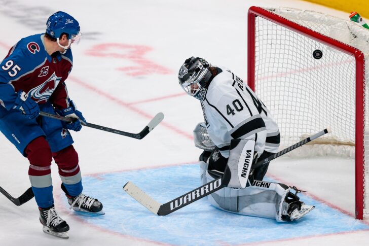 avalanche ducks prediction